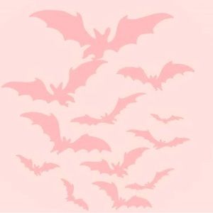 Meet your Posher, Jaqueline